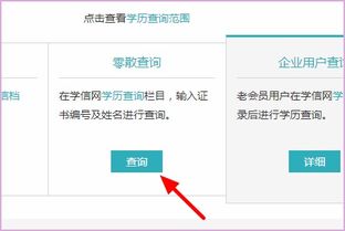 北京国际商务学院毕业证书及网上贸易代理查询指南